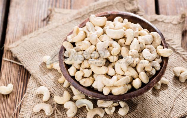 cashew nut processing line