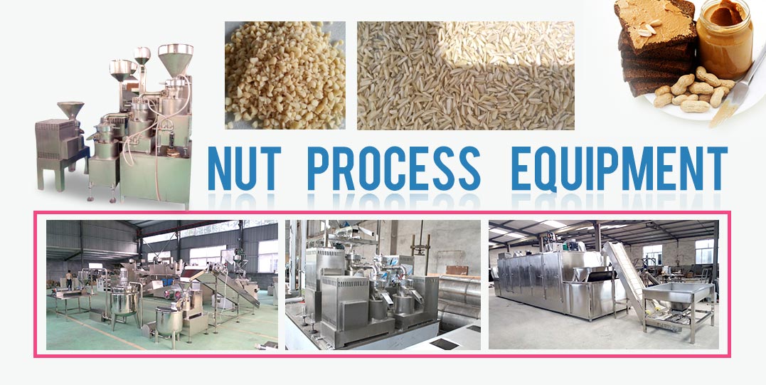 Nut Process Equipment