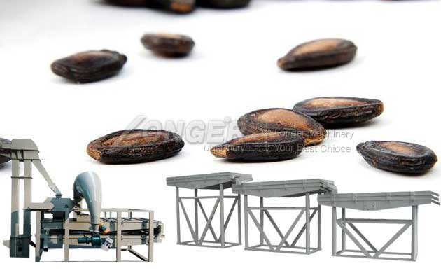 Saving Energy Melon Seeds Shelling Machine|Watermelon Seeds Process Line