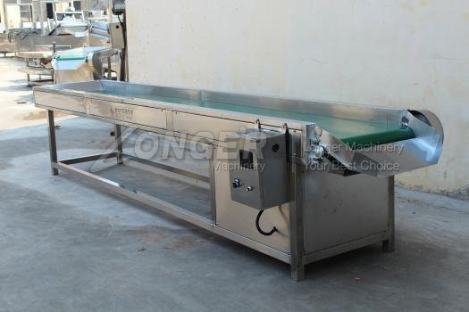 peanut frying machine line|Sorting Conveyor